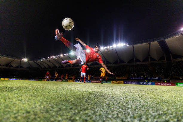 来了一条令 来了一条令